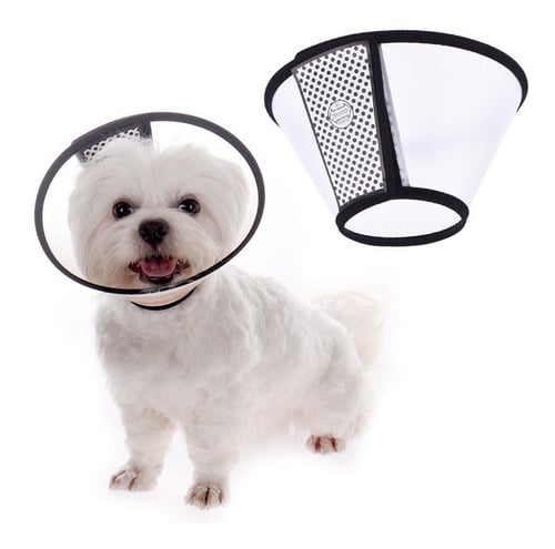 Collar Isabelino talla 9