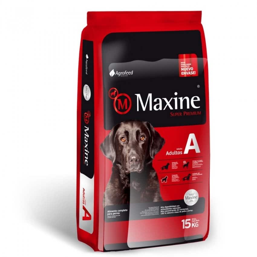 Maxine adulto 21 kg perro